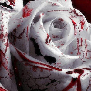 Meet your Posher, Angel